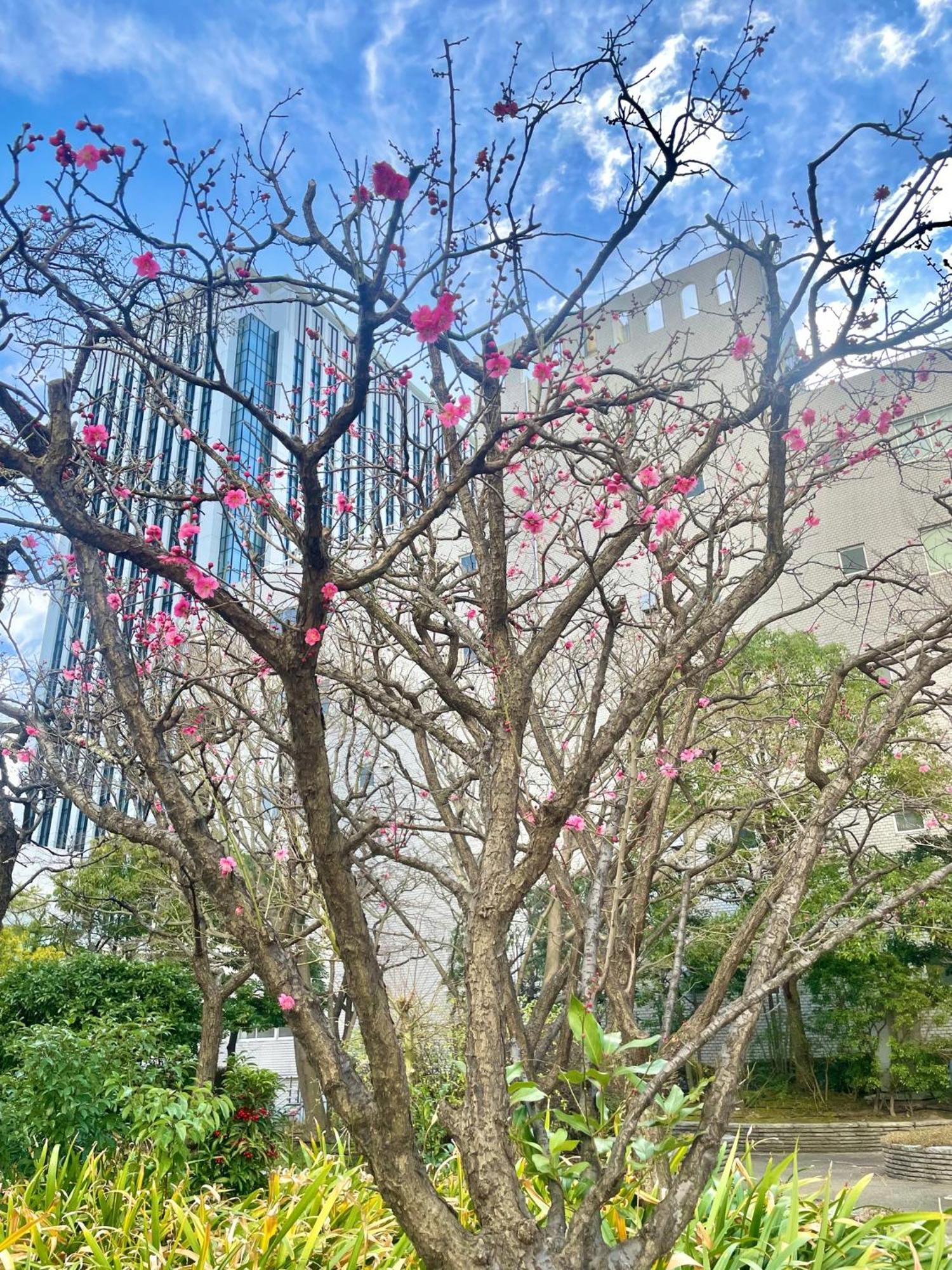 Toshi Center Hotel Tokyo Exterior photo